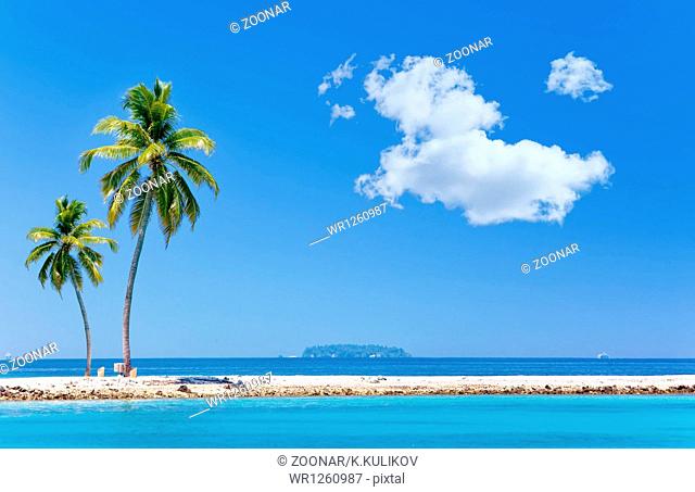 Palm trees on tropical island at ocean