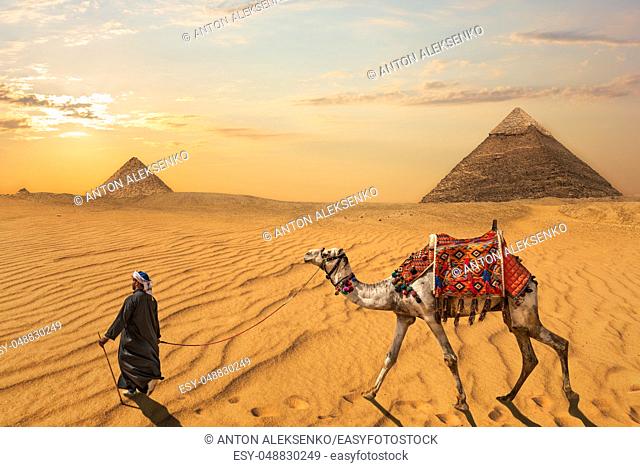 A bedouin with a camel in front of the Pyramid of Khafre and the Pyramid of Menkaure, Egypt
