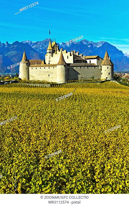 Vine and wine museum Aigle Castle, Chateau d'Aigle, Aigle, Vaud, Switzerland
