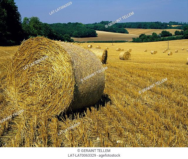Harvesting is the process of gathering mature crops from the fields, marking the end of the growing season. Round bales of straw are produced by the use of a...
