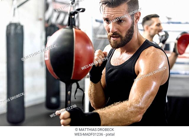 Boxer exercising at punchingball
