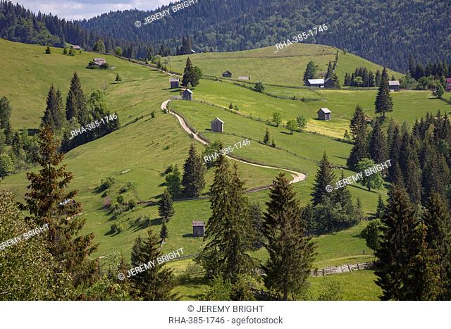 Countryside and farms between Sucevita to Vatra Moldovitei in Carpathian foothills, Bukovina, Romania, Europe