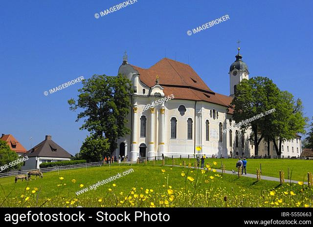 Wieskirche, Wies Church, Wies, near Steingaden, UNESCO World Heritage Site, Romantic Road, Upper Bavaria, Bavaria, Germany, Europe