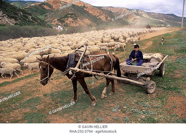 Shepherds in the Dzhety-Oguz valley, near Lake Issyk-kul, Kirghizstan, Central Asia, Asia