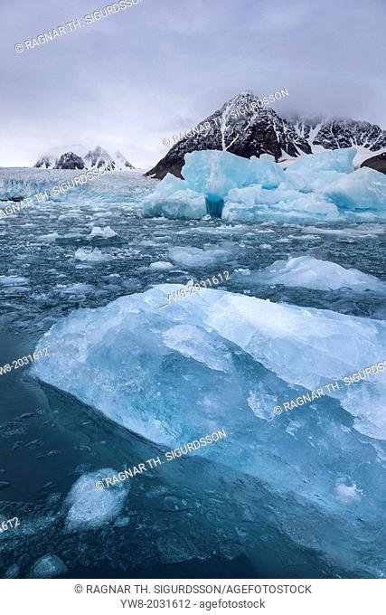 Icebergs, Monacobreen Glacier (Monaco Glacier) in Liefdefjord, Spitsbergen Island, Svalbard, Norway