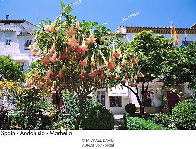 Spain - Andalusia - Marbella