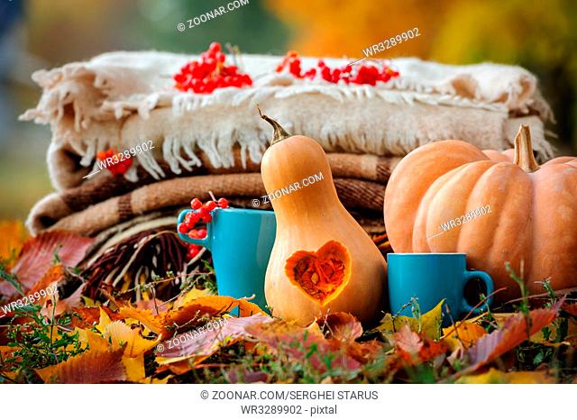 Typical autumn thanksgiving romantic still life with stacked plaids, carved pumpkins, red berries and coffee cups