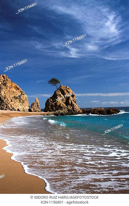 Playa de Banyeres de Ses Dones Tossa de Mar Costa Brava La Selva Girona Catalunya Spain