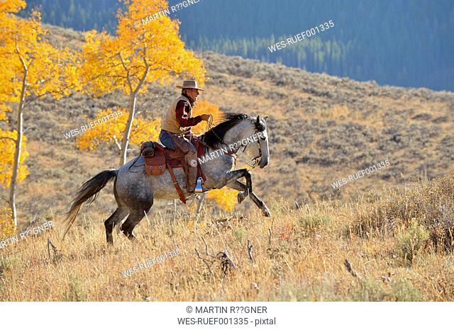 USA, Wyoming, Big Horn Mountains, riding cowboy in autumn