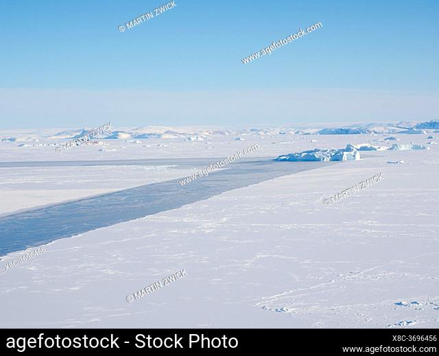 Sea ice with icebergs in the Baffin Bay, between Kullorsuaq and Upernavik in the far north of Greenland during winter