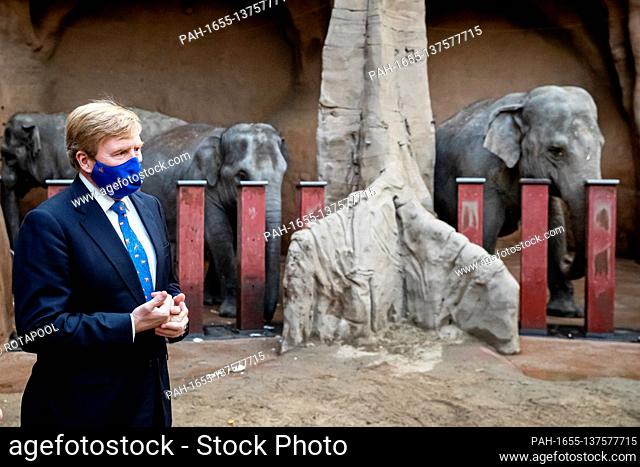 King Willem-Alexander of The Netherlands at the Diergaarde Blijdorp in Rotterdam, on November 23, 2020 for a workvisit, the visit focused on the consequences of...