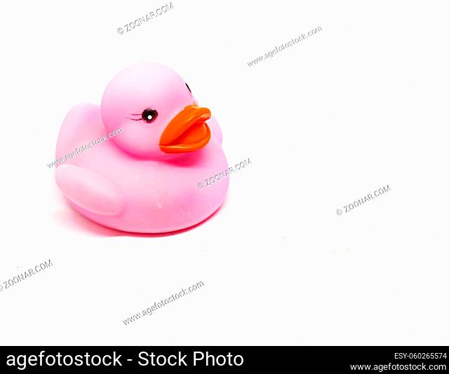 Pink rubber duck with orange beak isolated on a white background. Baby bath and shower for children. Toys and fun for children