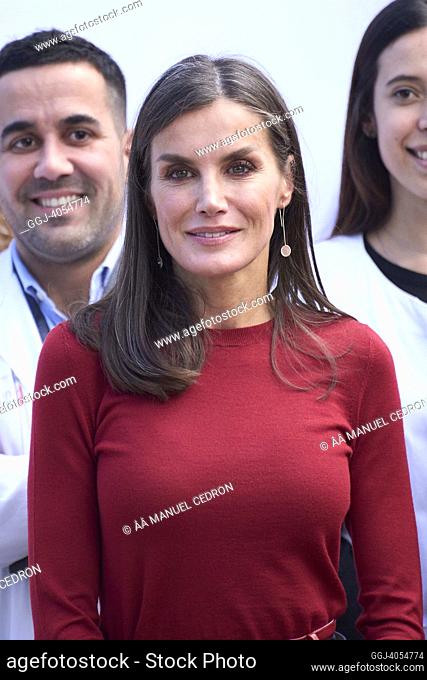 Queen Letizia of Spain attends activity related to mental health and care for intellectual disability at Sant Joan de Deu Health Park on November 23