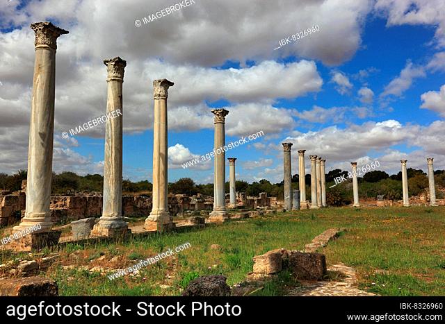 Salamis, Greek Salamina, Latin Constantia, Iron Age city-kingdom and ancient city, built in 12th century BC at the mouth of the Pediaios in the east of the...
