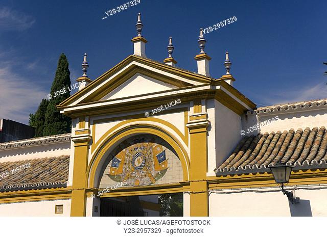 Palacio de las Duenas, Seville, Region of Andalusia, Spain, Europe
