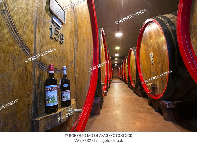 Bottles of liquor Amaro Braulio and oak barrels in the cellar, Bormio, Sondrio province, Valtellina, Lombardy, Italy