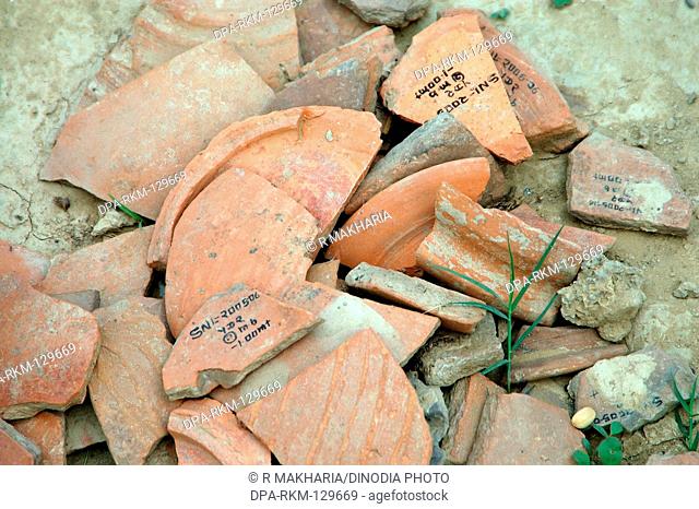 Excavations of burial site (4K years old) at Sinauli ; Uttar Pradesh ; India