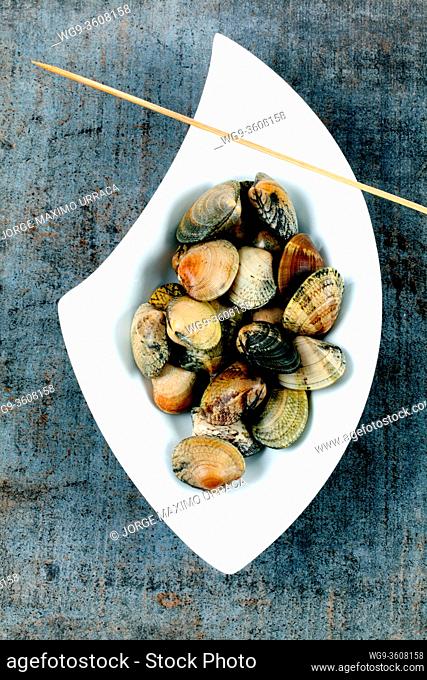 Clams on white tray with artistic background