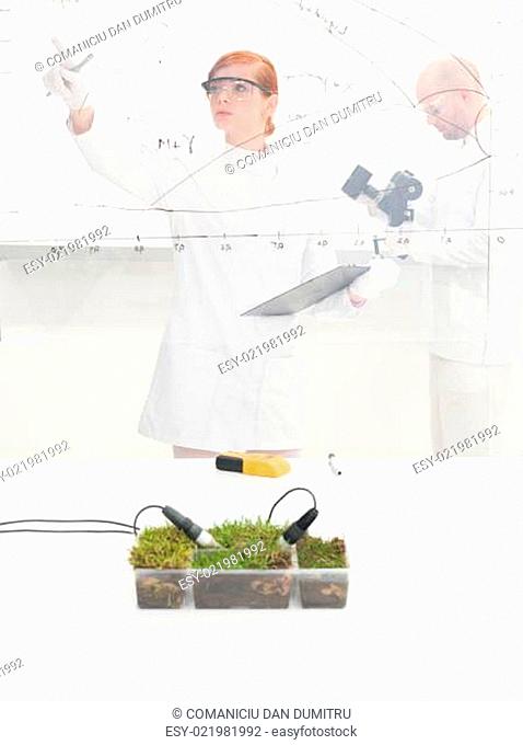 Female scientist monitoring a plant experiment