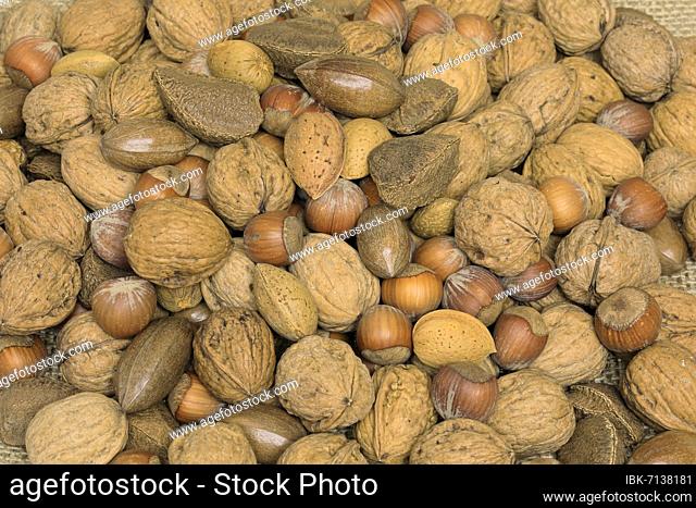 Nuts, mix, Almond tree (Prunus dulcis), Common hazel (Corylus avellana), Persian walnut (Juglans regia), Brazil nuts (Bertholletia excelsa)