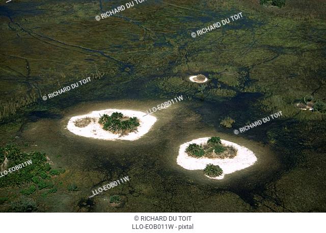 Salt Islands on the Flood Plains - Aerial View  Okavango Delta, Botswana