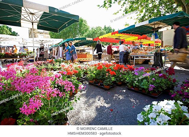 France, Vaucluse, Luberon, La Tour d'Aigues, the market in front of the castle
