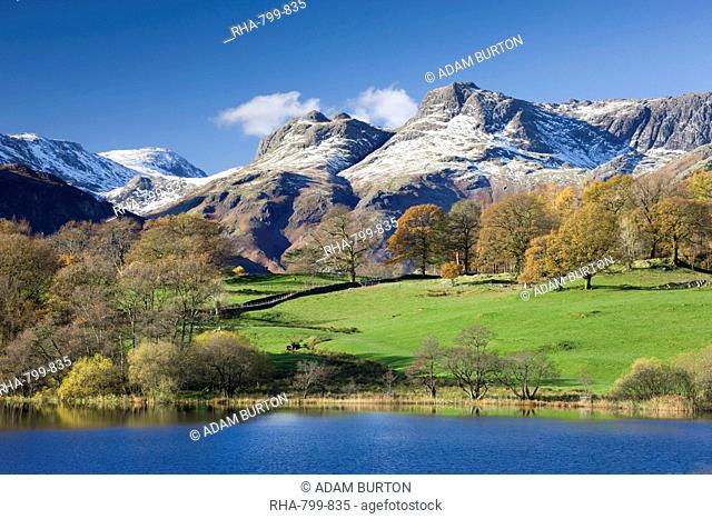 Autumn colours beside Loughrigg Tarn with views to the snow dusted mountains of the Langdale Pikes, Lake District National Park, Cumbria, England