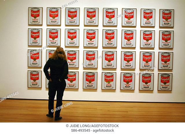 Woman in museum admiring Warhol's Campbell's Soup Series