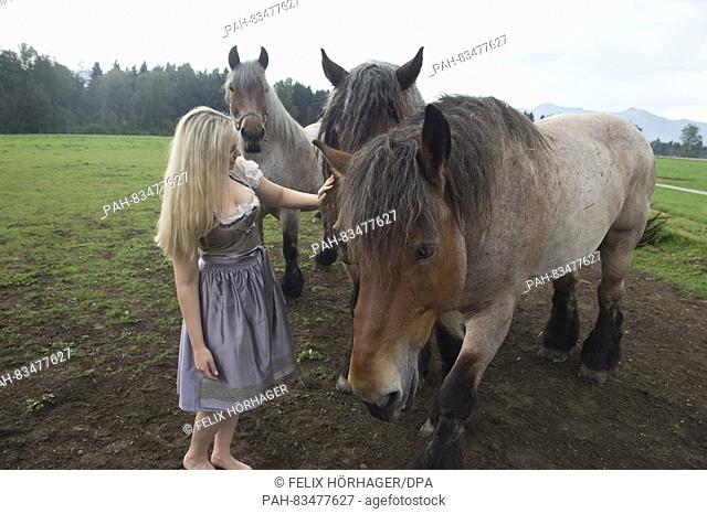ATTENTION BLOCKING PERIOD: 8 SEPTEMBER 2016, 12 AM / dpa exclusive: The Wiesn playmate Kathie Kern posing with brewery horses at Urthalerhof in Sindelsdorf
