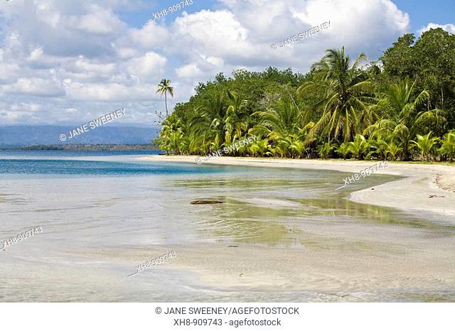 Star Beach, Colon Island, Bocas del Toro Province, Panama