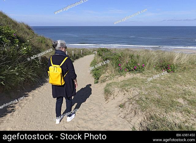 Senior woman with yellow backpack walking on path through dunes, looking at sea, Wenningstedt on Sylt, North Frisian Islands, Schleswig-Holstein, Germany