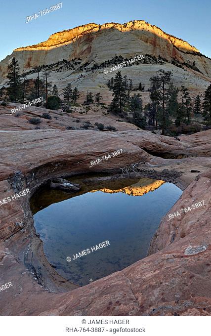 Pool in slick rock at dawn, Zion National Park, Utah, United States of America, North America