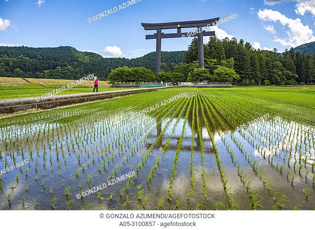 Kumano Kodo pilgrimage route. Otorii. Tori shrine gate that marks the entrance to Oyunohara. Nakahechi. Wakayama Prefecture. Kii Peninsula