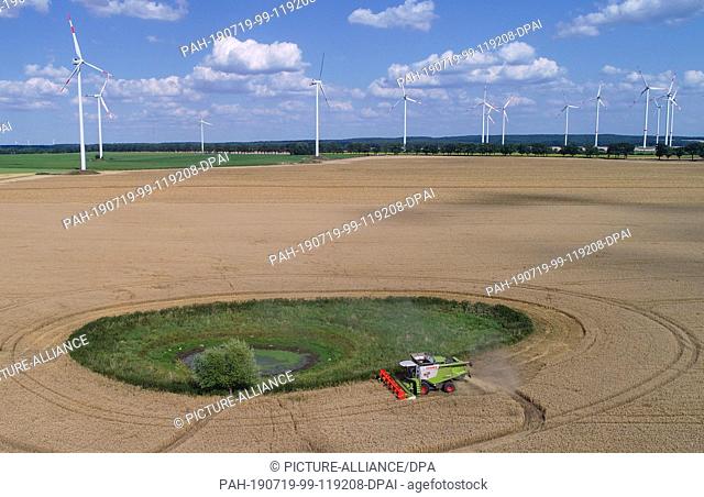 18 July 2019, Brandenburg, Petersdorf: A combine harvester from the Markus Grund farm harvests winter wheat on a grain field in the Oder-Spree district with a...