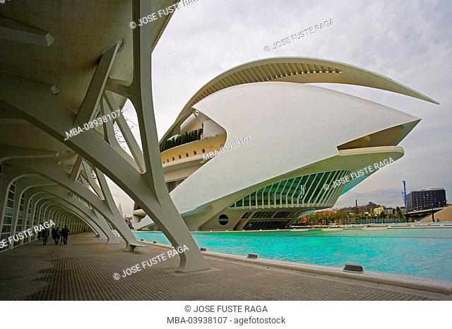 spain, Valencia, Ciudad de las Artes y las Ciencias, Palau de les Arts Reina Sofia, no property release, Architect Santiago Calatrava, museum, culture-park