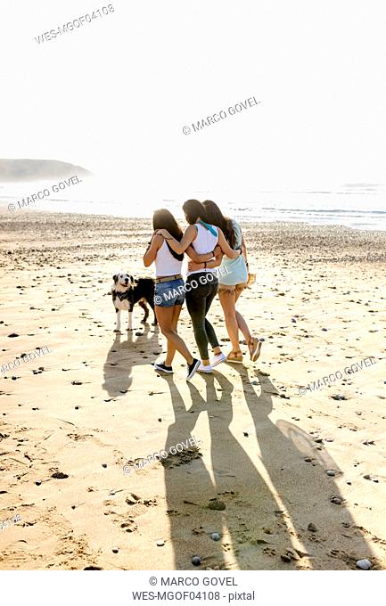 Three women with dog walking on the beach
