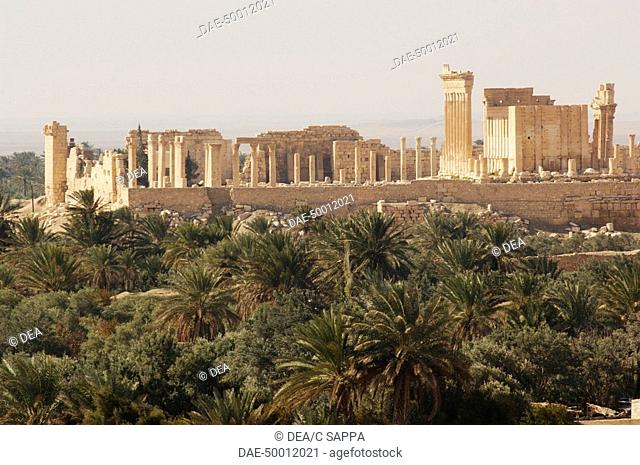 Syria - Palmyra. Ancient Palmyra. UNESCO World Heritage List, 1980. Temple of Bel, 1st-2nd century