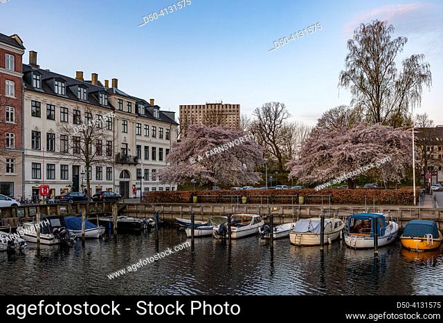 Copenhagen, Denmark The Christianshavn canal in the ealy morning and boats