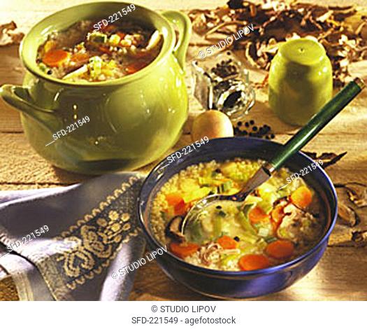 Barley soup with vegetables, mushrooms and spare ribs