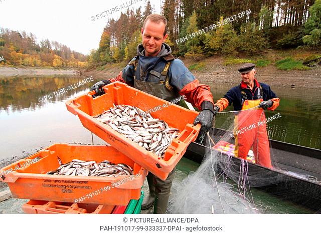 15 October 2019, Saxony-Anhalt, Hasselfelde: Professional fisherman Sven Ahlendorf (left) and Gernot Quaschny fish the small whitefish