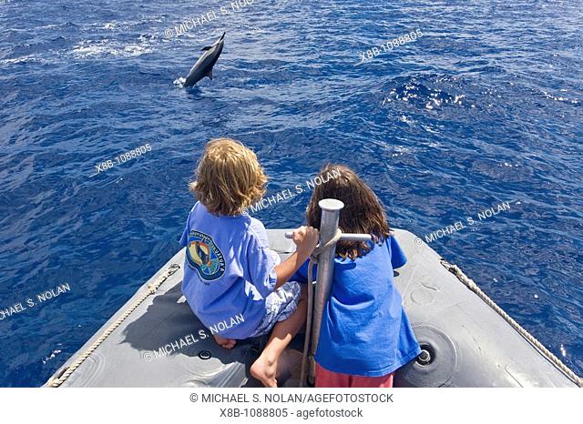 Hawaiian Spinner Dolphin Stenella longirostris spinning with young boaters off the coast of Maui, Hawaii, USA  Pacific Ocean  Spinner Dolphins occur in pelagic...