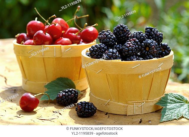 punet of fresh picked orgainic blackberries and cherries