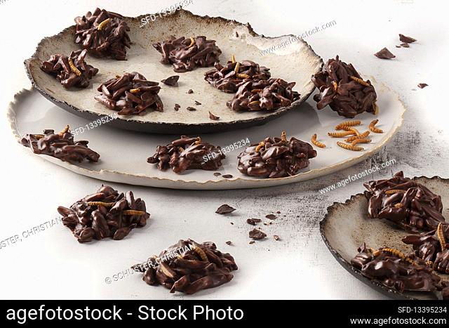 Mealworm Chocolate Crossies