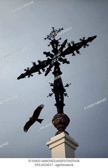 An eagle flies near the cross of the Hermitage of the Virgin of Rocio, in Almonte, Donana National Park, Huelva province, Andalusia, Spain, May 15, 2013