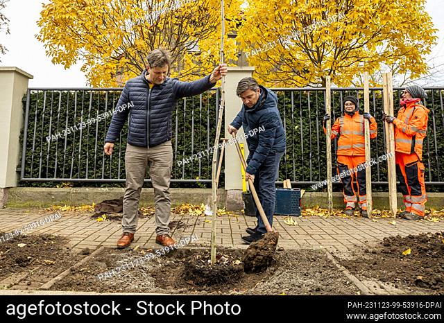 23 November 2023, Thuringia, Erfurt: Jonas Reif, Professor at Erfurt University of Applied Sciences, plants a young poplar tree together with Sascha Döll (2nd...