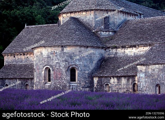 Abtei Senanque, Gordes, Vaucluse, Frankreich - Abbey Senanque, Gordes, Vaucluse, France