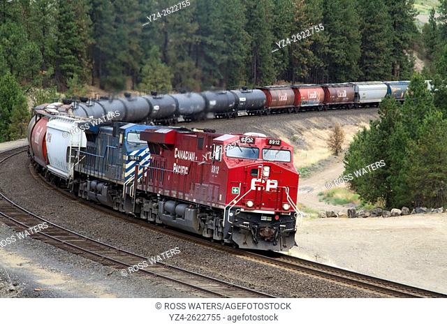 CP Rail mixed manifest with a CEFX leased unit