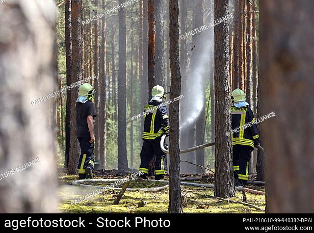 09 June 2021, Brandenburg, Wünsdorf: Comrades of the volunteer fire brigade extinguish the last pockets of embers in a small fire in a pine forest near Wünsdorf