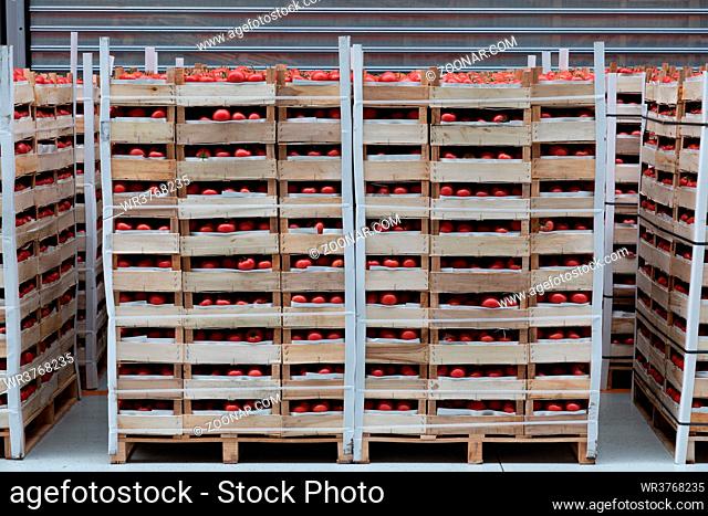 Crates of Tomatoes at Pallets in Warehouse
