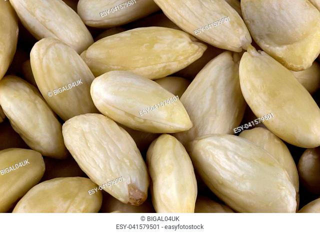 Close up of a pile of blanched almonds